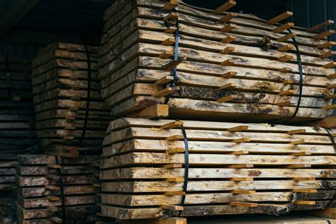 Infographie comparant la durabilité naturelle des différentes essences de bois (Chêne, Pin, Douglas, etc.)