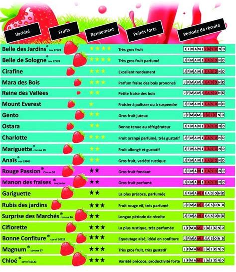 Tableau comparatif des différentes variétés de kiwaï (fruits, couleur, goût)