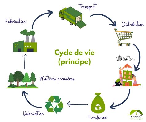 Schéma illustrant le cycle de vie d'une culture agricole, de la préparation du sol à la récolte et au stockage