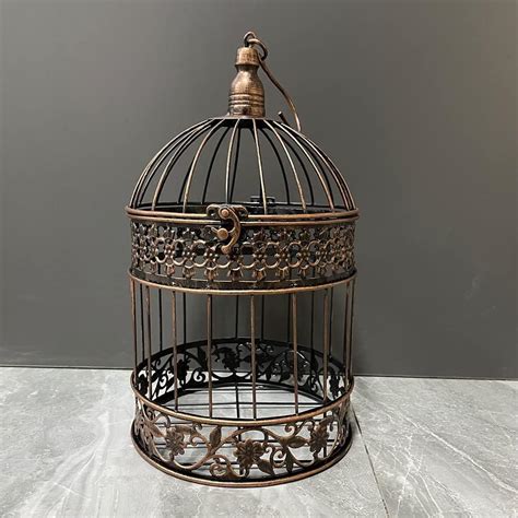 Cage à oiseaux décorative transformée en terrarium avec des succulentes