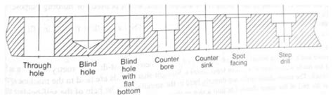 Illustration montrant différents types de trous dans une pelouse et les animaux associés