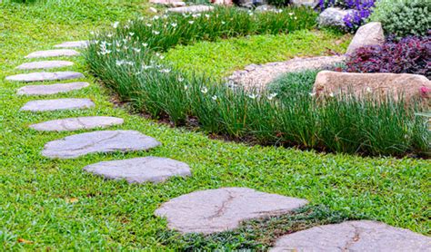 Jardin avec des pas japonais bordés de plantes couvre-sol