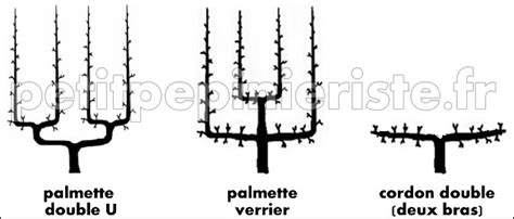 Illustration détaillée d'une palmette Verrier et d'un cordon simple