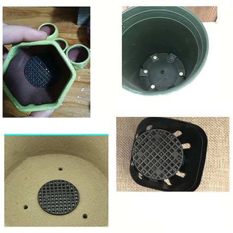 Un pot de bonsaï avec un trou de drainage visible.