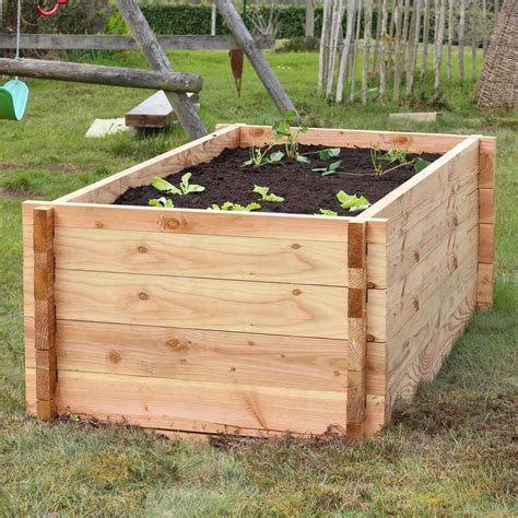 Photo de potagers en carrés surélevés avec bordures en bois