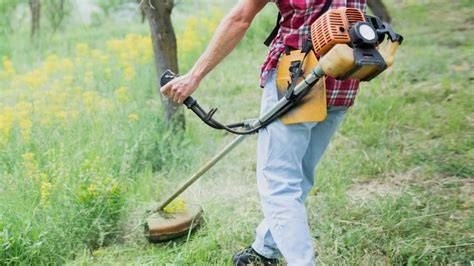 Une débroussailleuse thermique en action dans un jardin
