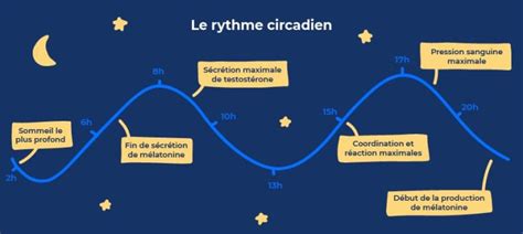 Diagramme expliquant la nyctinastie et le rythme circadien des plantes