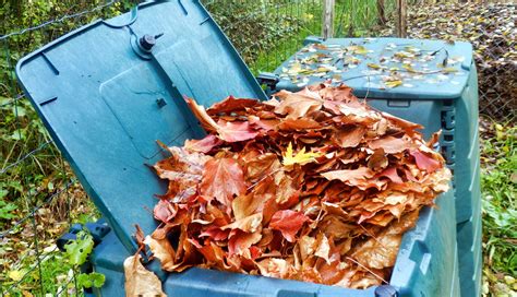 Compostage de feuilles mortes