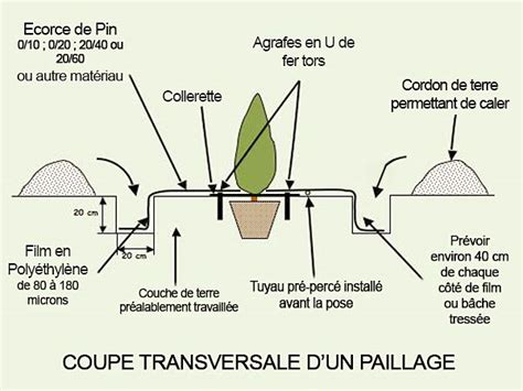 Schéma illustrant une coupe transversale de paillage minéral sur géotextile pour jardin sec