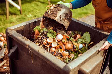 Compostage domestique