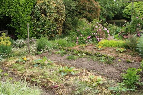 Un jardin potager bien entretenu