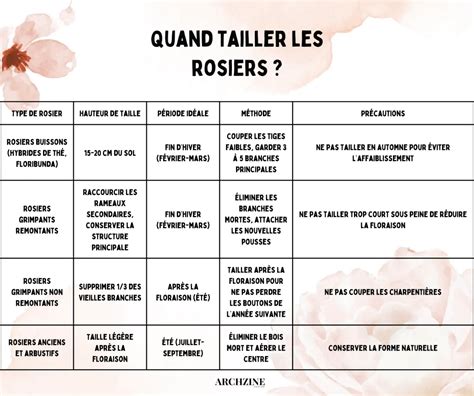 Calendrier de taille des rosiers grimpants