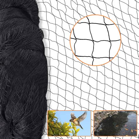 Filet de protection anti-oiseaux sur un cerisier