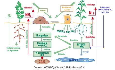 Schéma de la méthode des bilans azotés pour le maïs