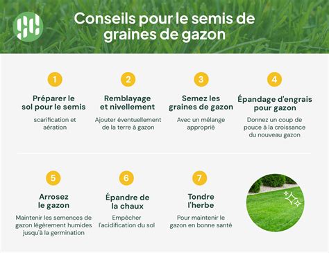 Les avantages de semer du gazon en automne