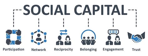 Graphique représentant l'évolution du capital social de l'entreprise