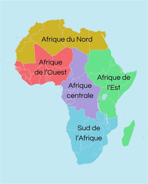 Paysage fleuri typique des régions d'Afrique du Sud avec des bulbes sauvages