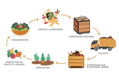 Schéma illustrant l'application du compost au pied des plantations