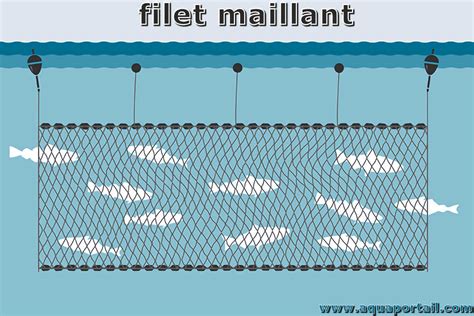 Illustration montrant l'intégration paysagère d'un filet de protection