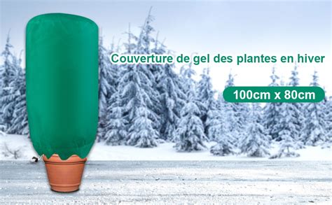 Housse d'hivernage pour plante