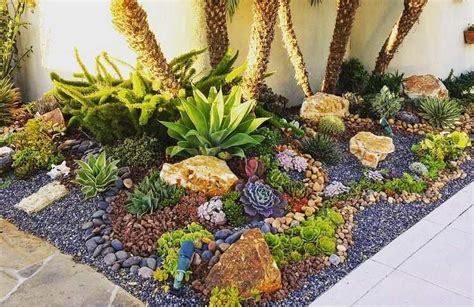 Jardin extérieur avec diverses plantes grasses