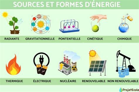 Schéma représentant différentes formes de perforatrices