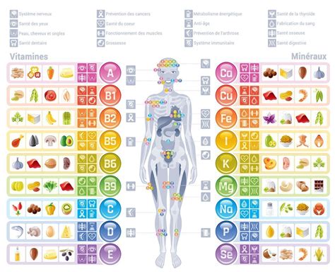 Graphique comparatif des nutriments