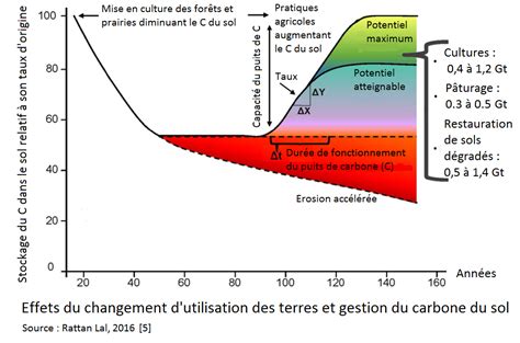 Diagramme comparatif montrant la décomposition du carbone dans le sol versus le tas de compost