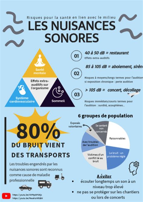Schéma expliquant les nuisances sonores et leurs impacts