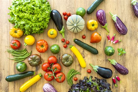 Diversité des cultures de légumes chez Gautier Semences