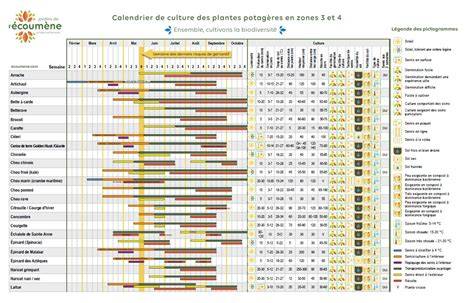 Infographie sur le calendrier de culture des légumes vivaces et annuels