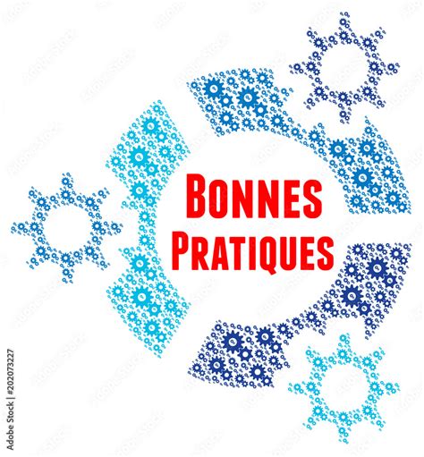 Infographie sur les bonnes pratiques d'arrosage et de taille au pied des tomates