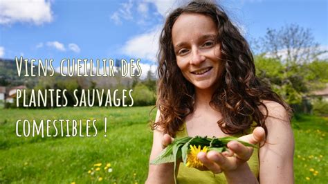 Cueillette de plantes sauvages
