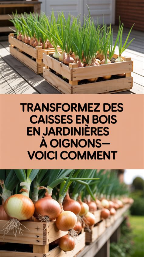 Caisses à pommes transformées en jardinières pour un potager