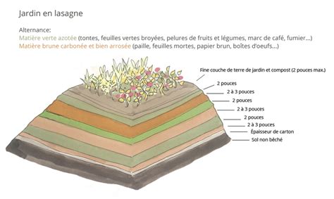 Exemple de déchets bruns pour le jardin en lasagne
