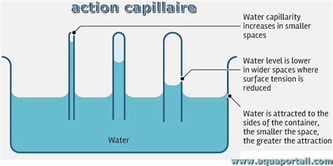 Schéma de l'arrosage par capillarité avec une mèche