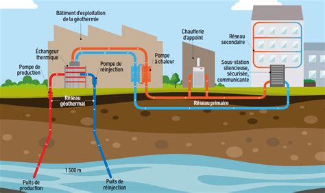 Schéma illustrant la propagation de la chaleur de l'eau chaude dans une plante