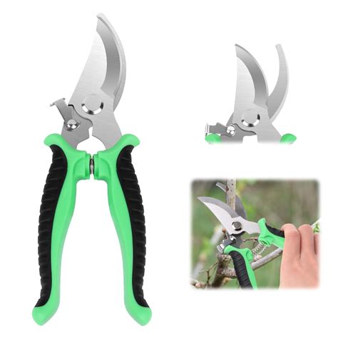 Outils de taille pour rosiers : sécateur et cisaille