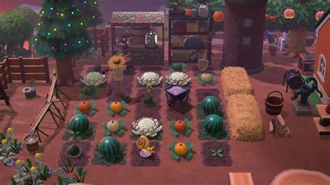 Illustration d'un potager organisé dans Animal Crossing New Horizons