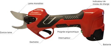 Schéma ergonomique d'un sécateur électrique