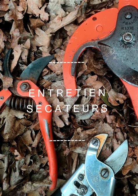 Conseils d'entretien pour sécateurs électriques