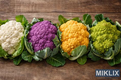 Variétés de choux-fleurs colorés (blanc, violet, orange, romanesco)