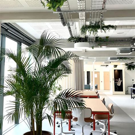 Plantes artificielles dans les espaces professionnels