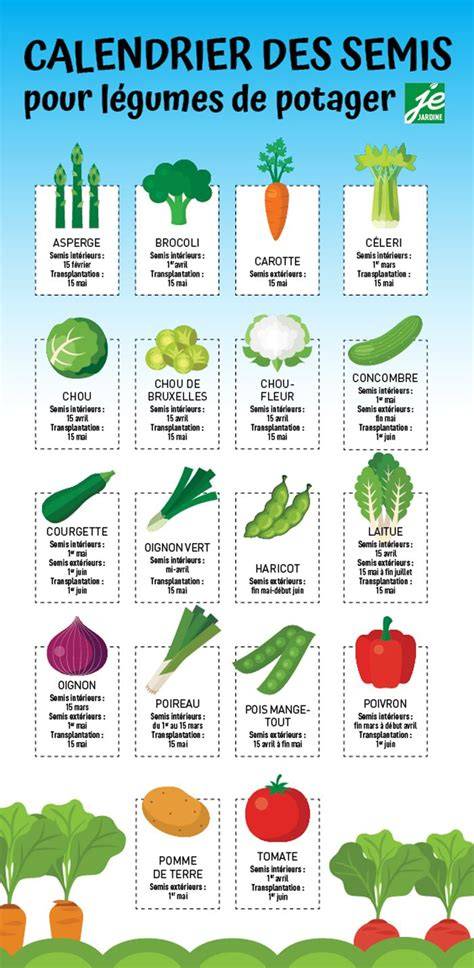 semis de légumes