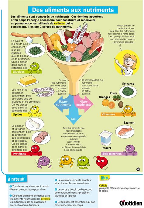 Infographie comparant les nutriments apportés par le compost, la cendre et le marc de café