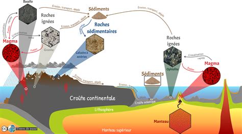 Schéma illustrant l'équilibre entre matières carbonées et azotées