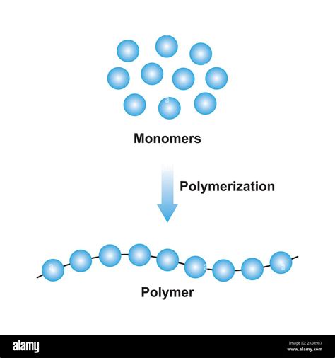 Illustration du processus de polymérisation lors du chemisage