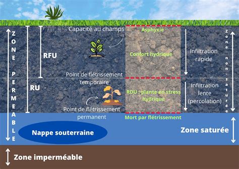 Schéma comparatif montrant la rétention d'humidité entre un sol nu, un paillage organique et un paillage minéral