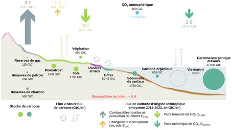 Infographie sur l'empreinte carbone des différentes méthodes de désherbage