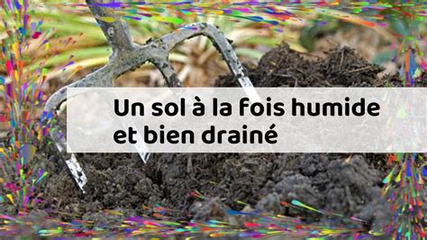 Infographie comparant un sol bien drainé à un sol humide propice aux mauvaises herbes